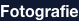 shapeimage_6_link_0
